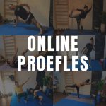 Online Proefles (1 dag)