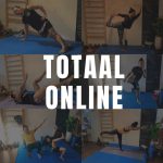 Chi Academy Totaal Online (14 dgn)