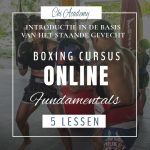 Cursus Boxing Fundamentals