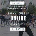 Cursus Tai Chi Essentials 1