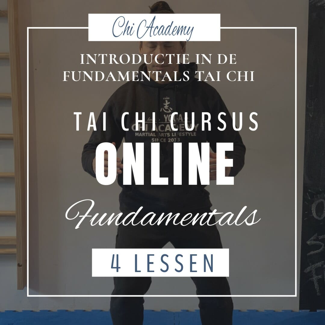 tai chi lessen, online cursus tai chi, online cursus thai chi, online taiji, basis tai chi, thai chi basics, tai chi fundamentals, thai chi fundamenten