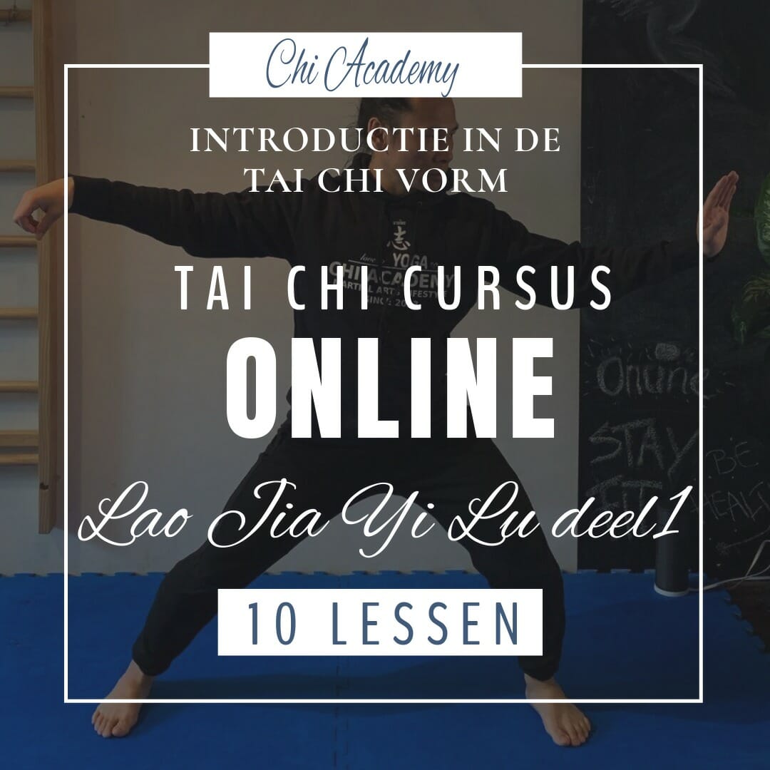 Tai Chi Vorm Deel 1 Lao Jia Yi Lu