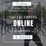 Cursus Tai Chi Essentials 2