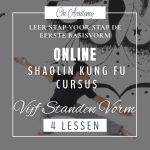 Cursus Shaolin Kung Fu: Vijf Standen Vorm